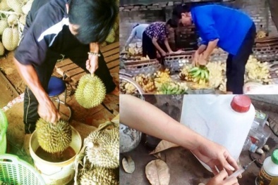 Truy tìm hóa chất cực độc giúp trái cây một tháng vẫn... tươi